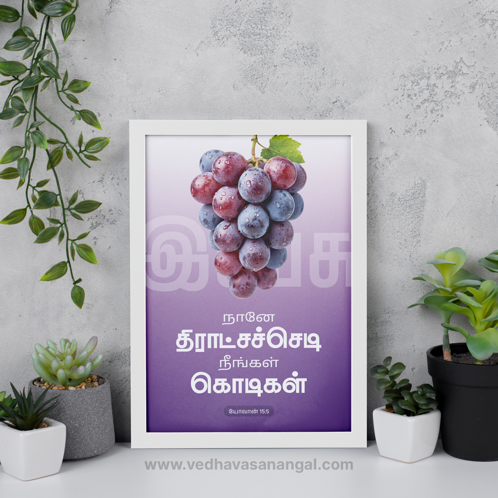 நானே திராட்சச்செடி, நீங்கள் கொடிகள் – யோவான் 15:5 | Tamil Bible Verse Wall Frame - Image 4