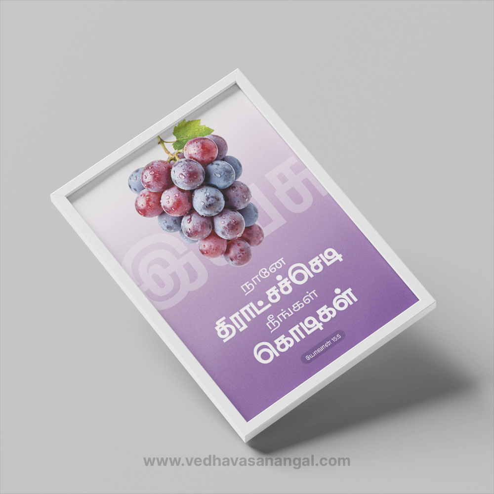நானே திராட்சச்செடி, நீங்கள் கொடிகள் – யோவான் 15:5 | Tamil Bible Verse Wall Frame - Image 3