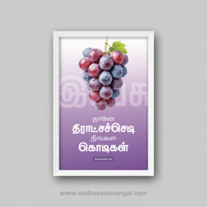 நானே திராட்சச்செடி, நீங்கள் கொடிகள் – யோவான் 15:5 தமிழ் வேதாகம வசன வால் ஃப்ரேம் | vedhavasanangal