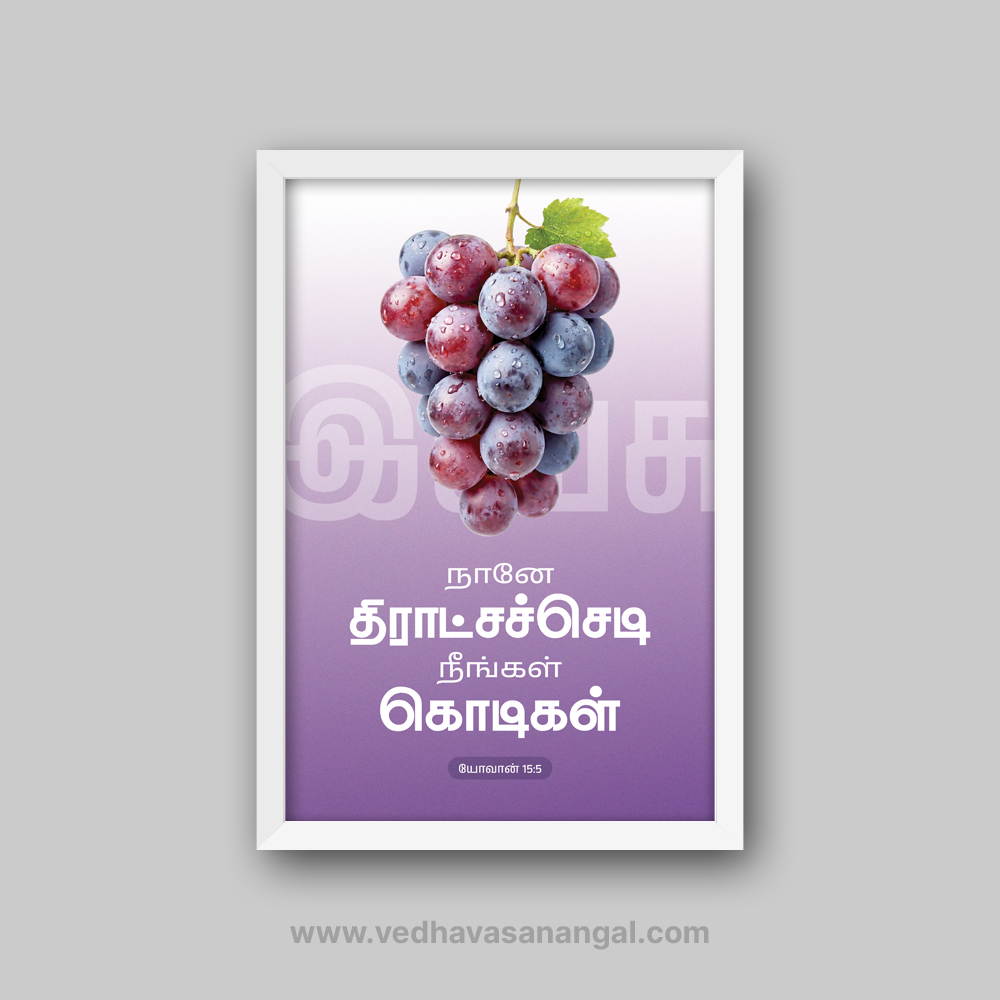 நானே திராட்சச்செடி, நீங்கள் கொடிகள் – யோவான் 15:5 தமிழ் வேதாகம வசன வால் ஃப்ரேம் | vedhavasanangal